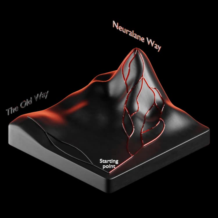 Old way vs Neuralane way
